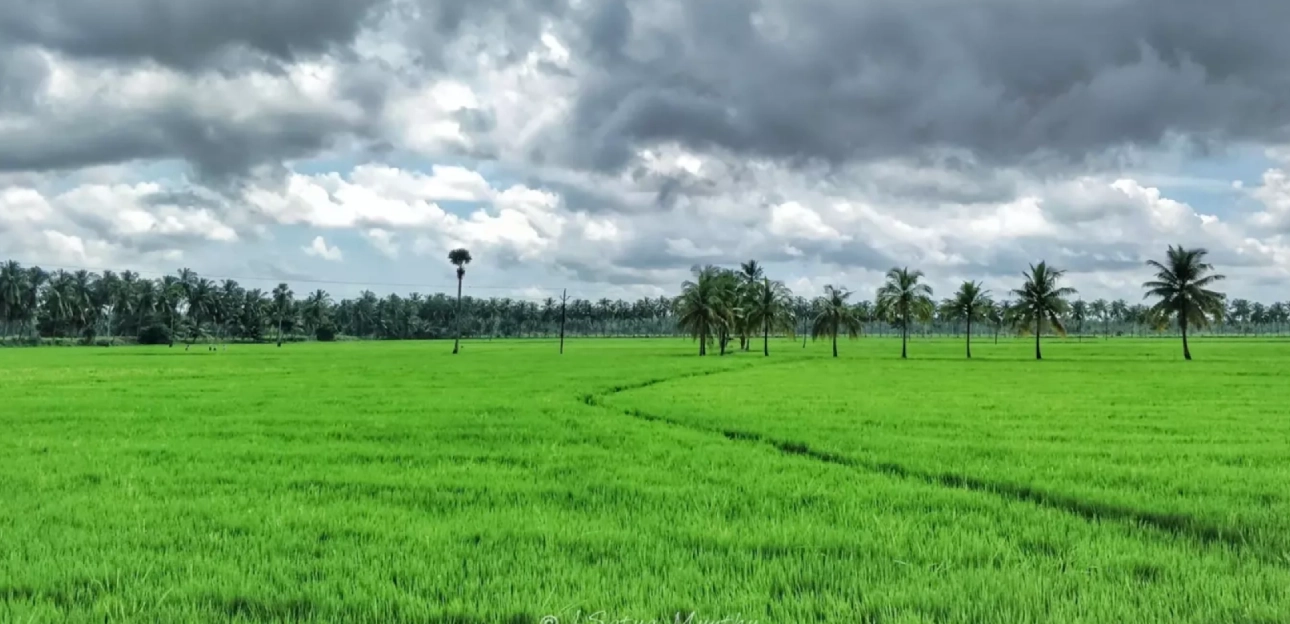 Konaseema Organic Village