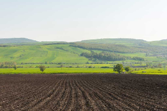 Farm Lands